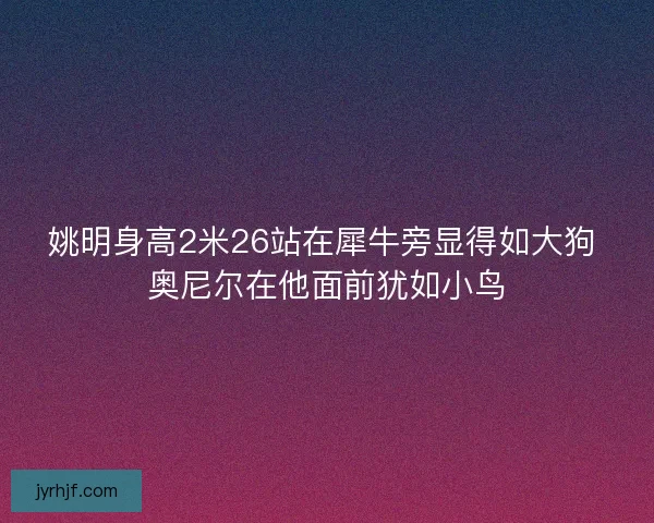 姚明身高2米26站在犀牛旁显得如大狗 奥尼尔在他面前犹如小鸟